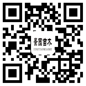 微信二維碼 微信二維碼